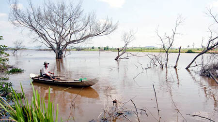 Thượng nguồn thủy điện An Khê - Ka Nak tích nước gây ngập đất canh tác của người dân tại thị xã An Khê, đặc biệt vào mùa mưa